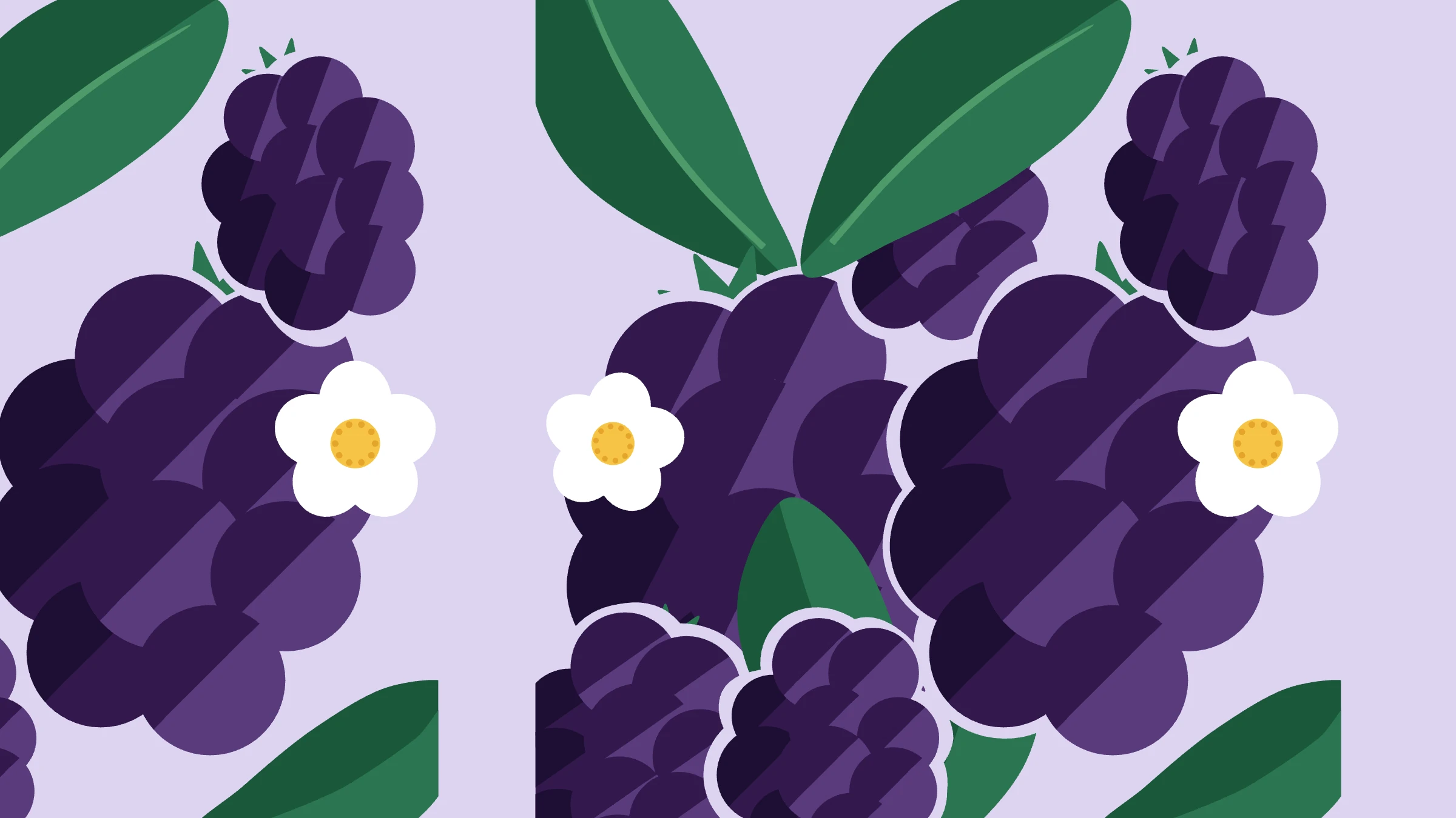 Blackberry