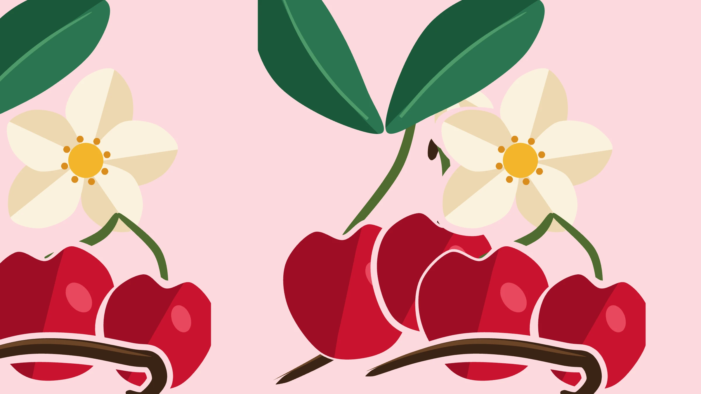 Cherry Vanilla