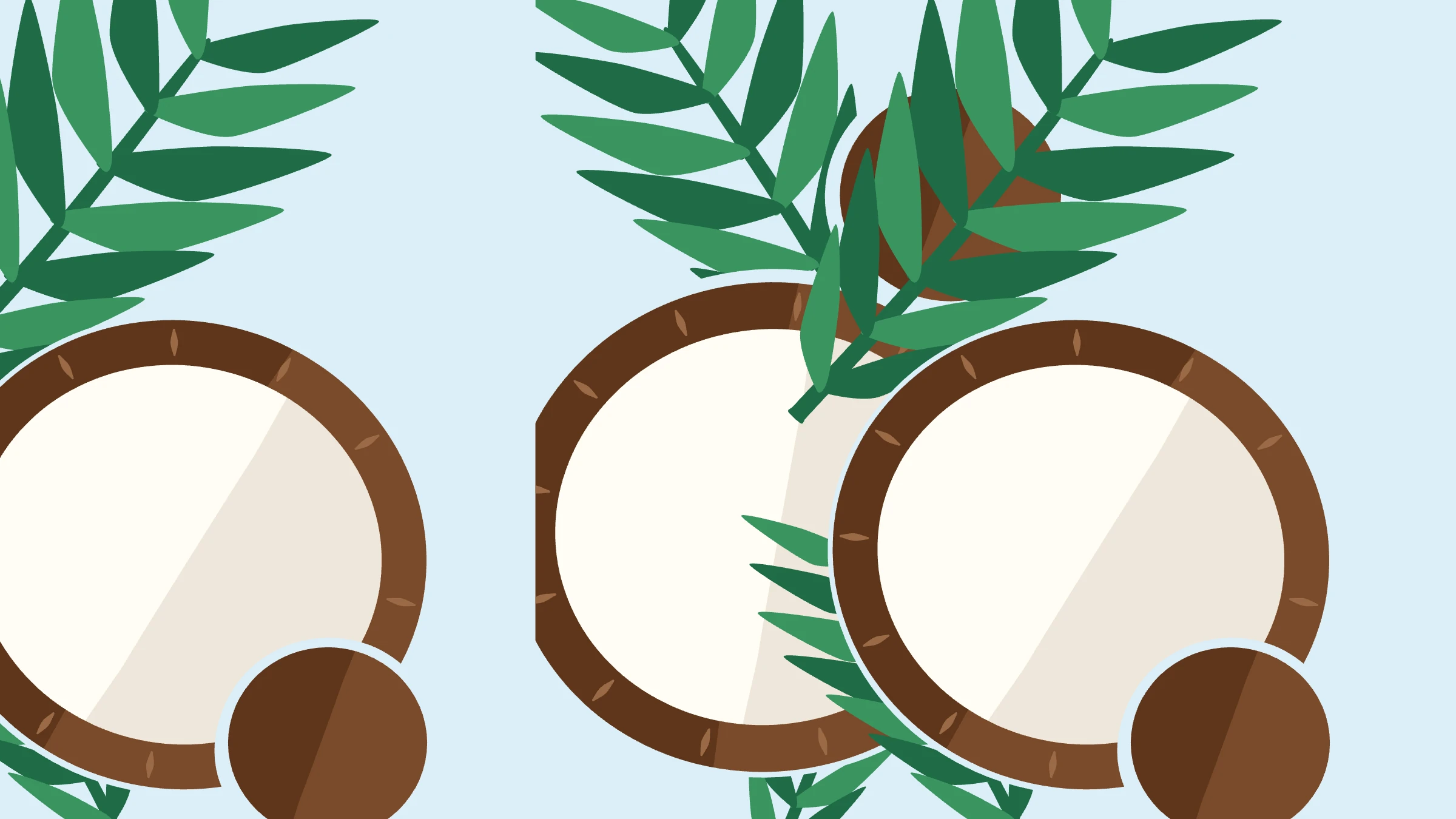 Coconut