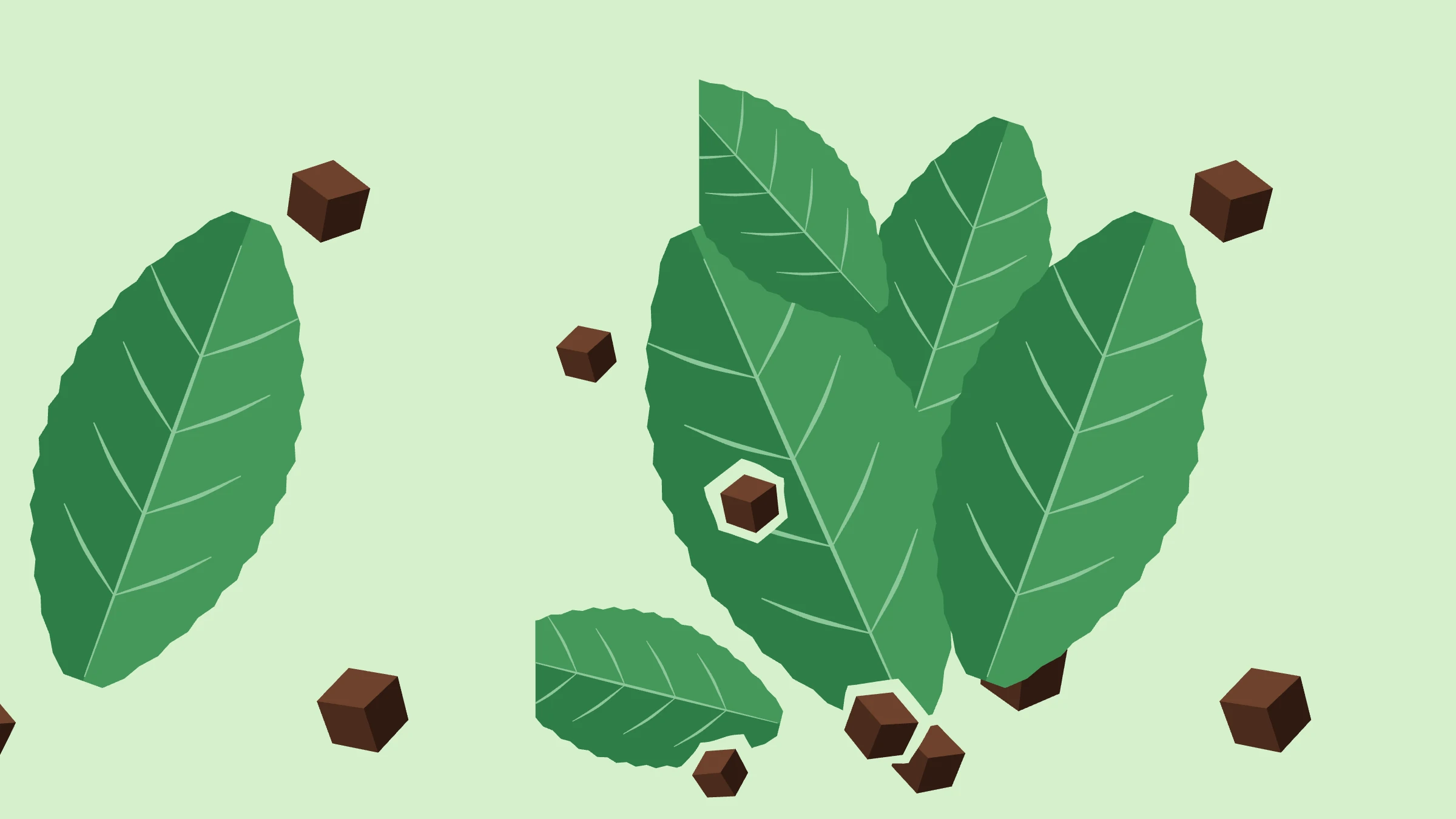 Mint Chocolate Chip