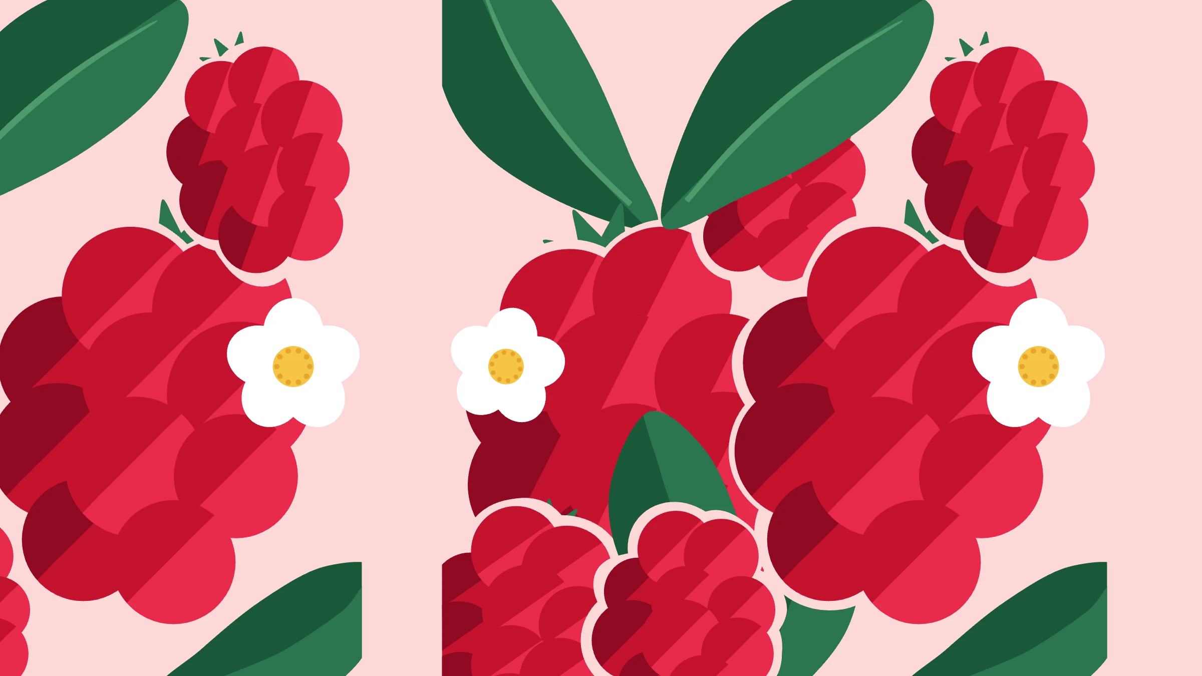 Raspberry